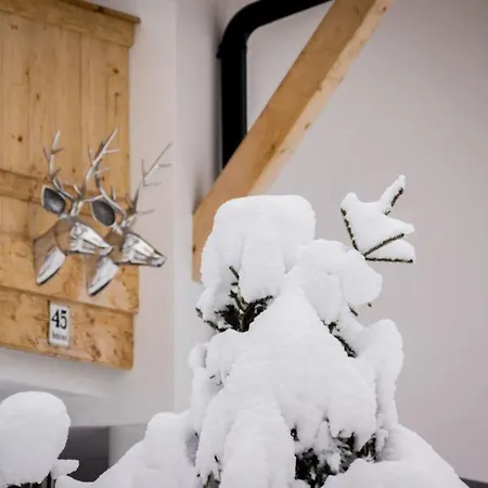 Zillertal Arena 3 Holiday home