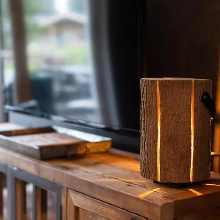 Zillertal Arena 3 別荘 *