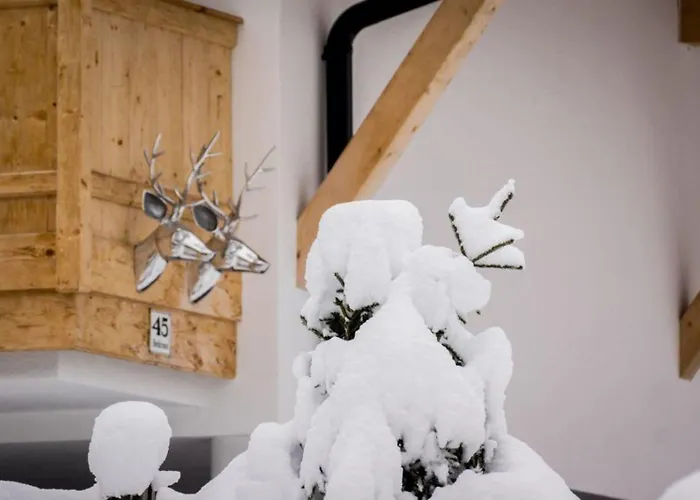 Zillertal Arena 3 Vakantiehuis