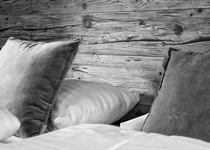 Vakantiehuis Zillertal Arena 3