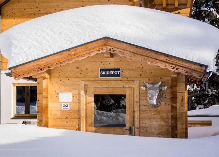 Zillertal Arena 3 Dom wakacyjny