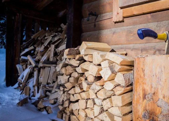 Vakantiehuis Zillertal Arena 3 *