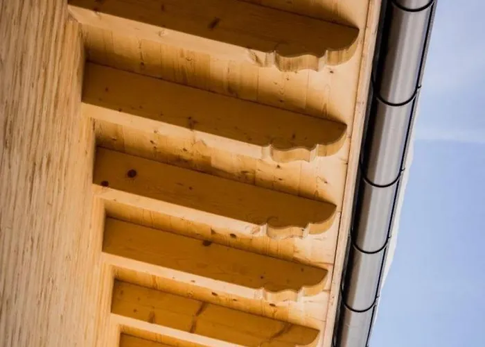 Zillertal Arena 3 Vakantiehuis